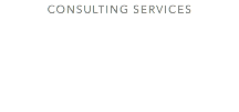 Consulting Services